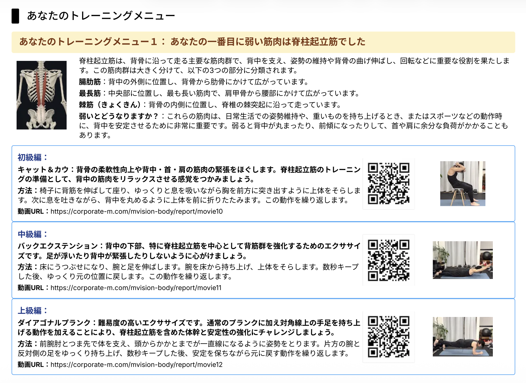 トレーニングアドバイス