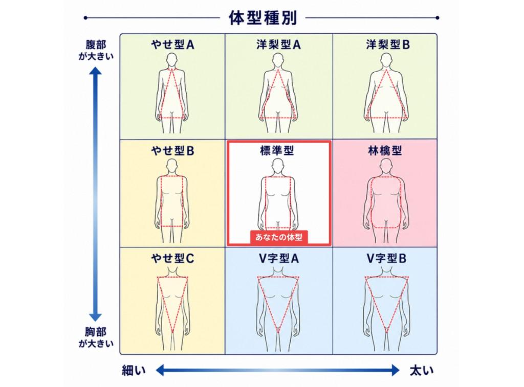 MVision body 体型種別レポート - 9タイプの体型分類マトリクス